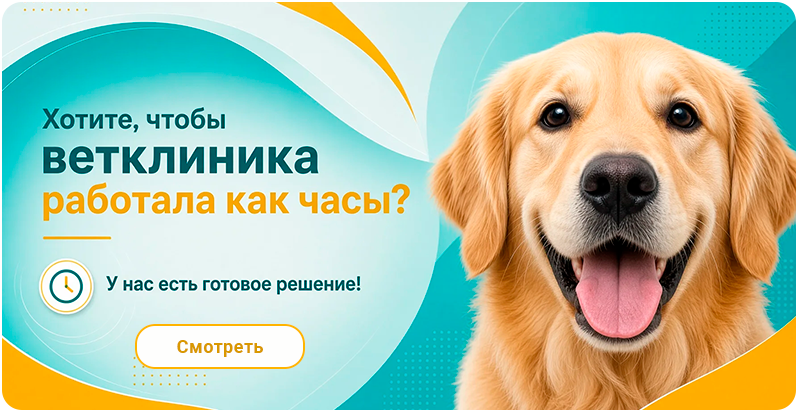 ZEBRA.VET – Ветеринарная клиника ZEBRA.VET – Ветеринарная клиника