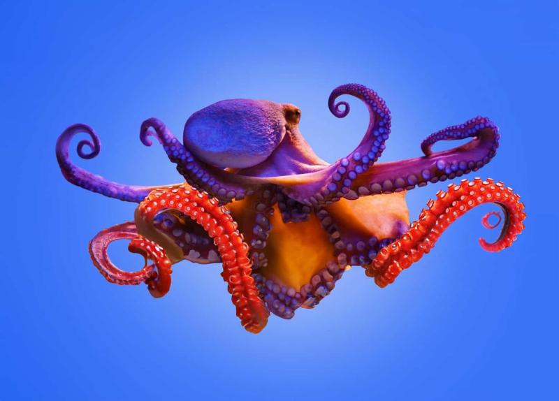 Ежегодная скидка на программные продукты Битрикс